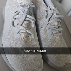Pumas