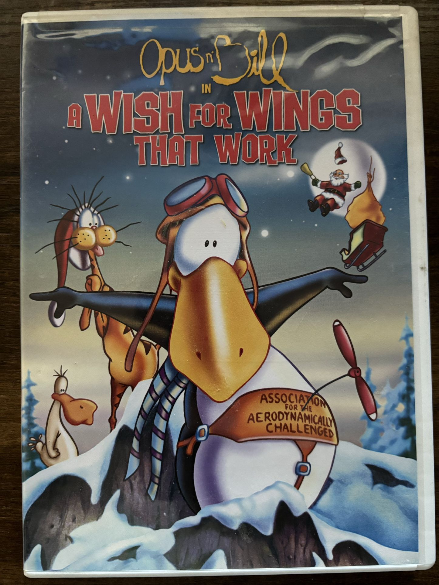 A Wish For Wings That Work DVD