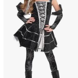 Halloween costume.