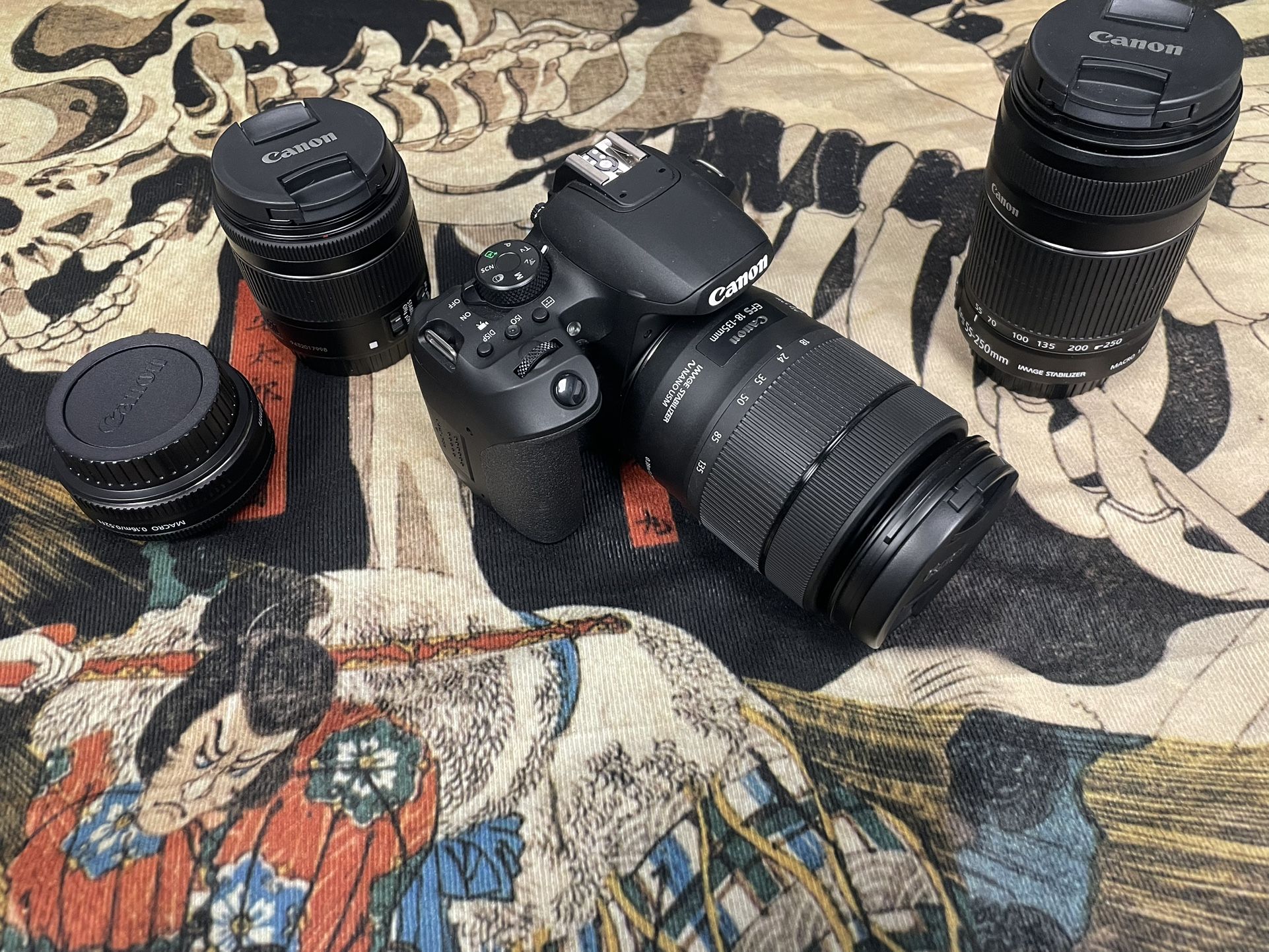 Canon EOS Rebel T8i with Lenses