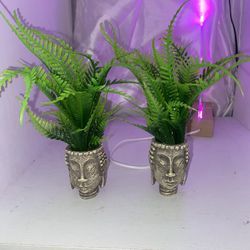 Fake Buddha Head Plants (set Of 2)