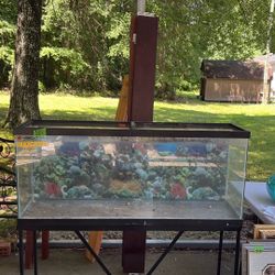Fish Tank