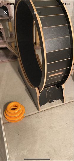 Cat wheel