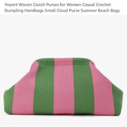 Summer Striped Dumpling Clutch (Green/Pink)