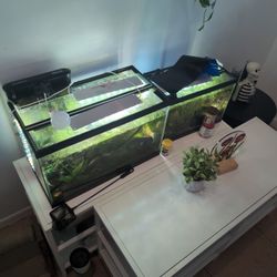 Two Fully Functional Fish Tanks