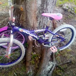 Girl Bicycles 