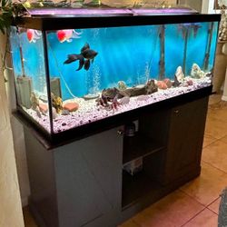 Aquarium