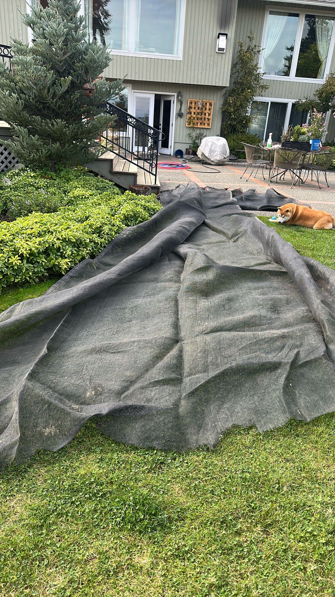Shade Cloth For Greenhouse Or Plant Cover Large