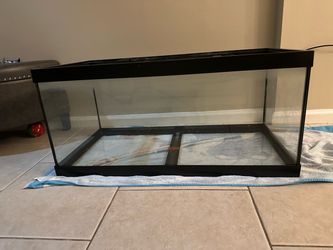 40 Gallon Breeder Fish Reptile Tank Holds Water Perfect