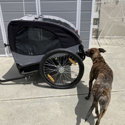 Bike Trailer For Dogs