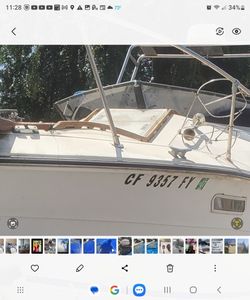 1977 Searay Sundancer