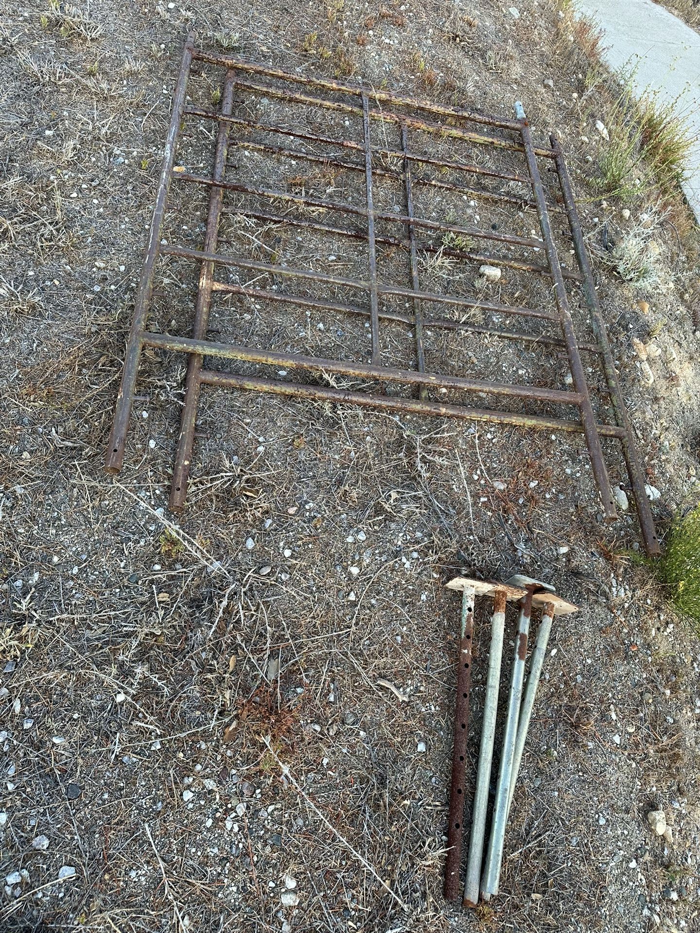 Scaffolding