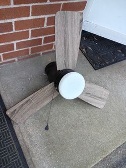 Ceiling Fan 