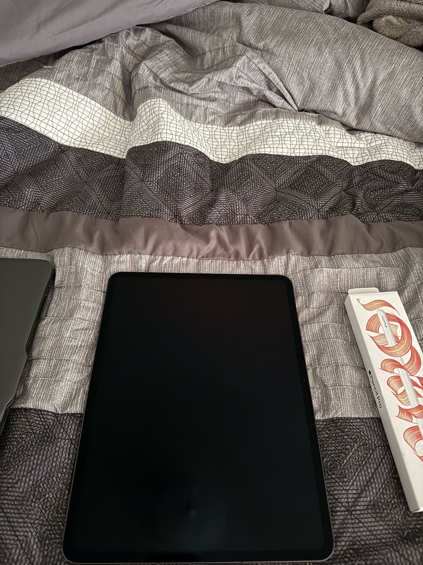 iPad 13pro 256GB