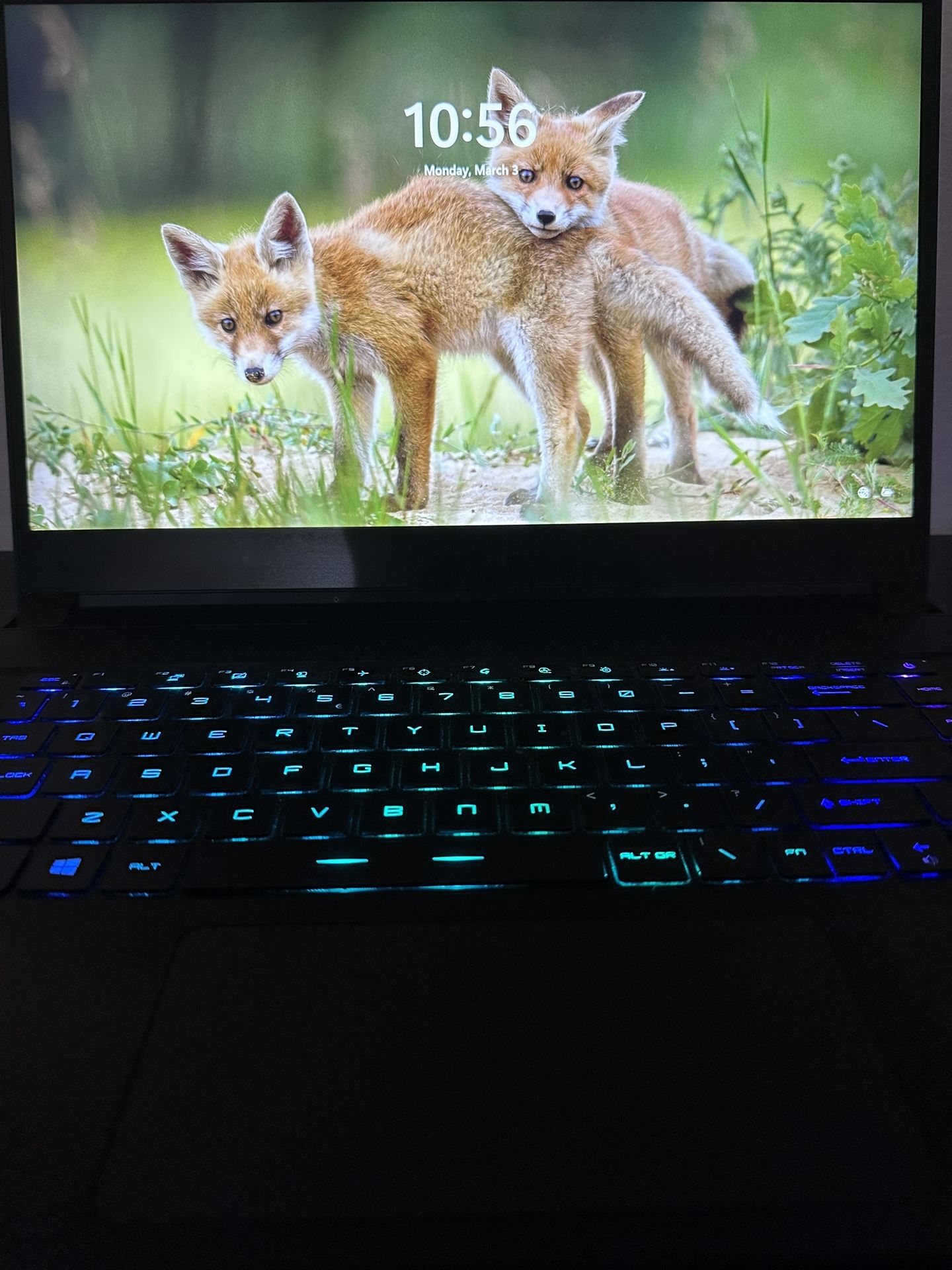 Gaming Laptop For Sale
