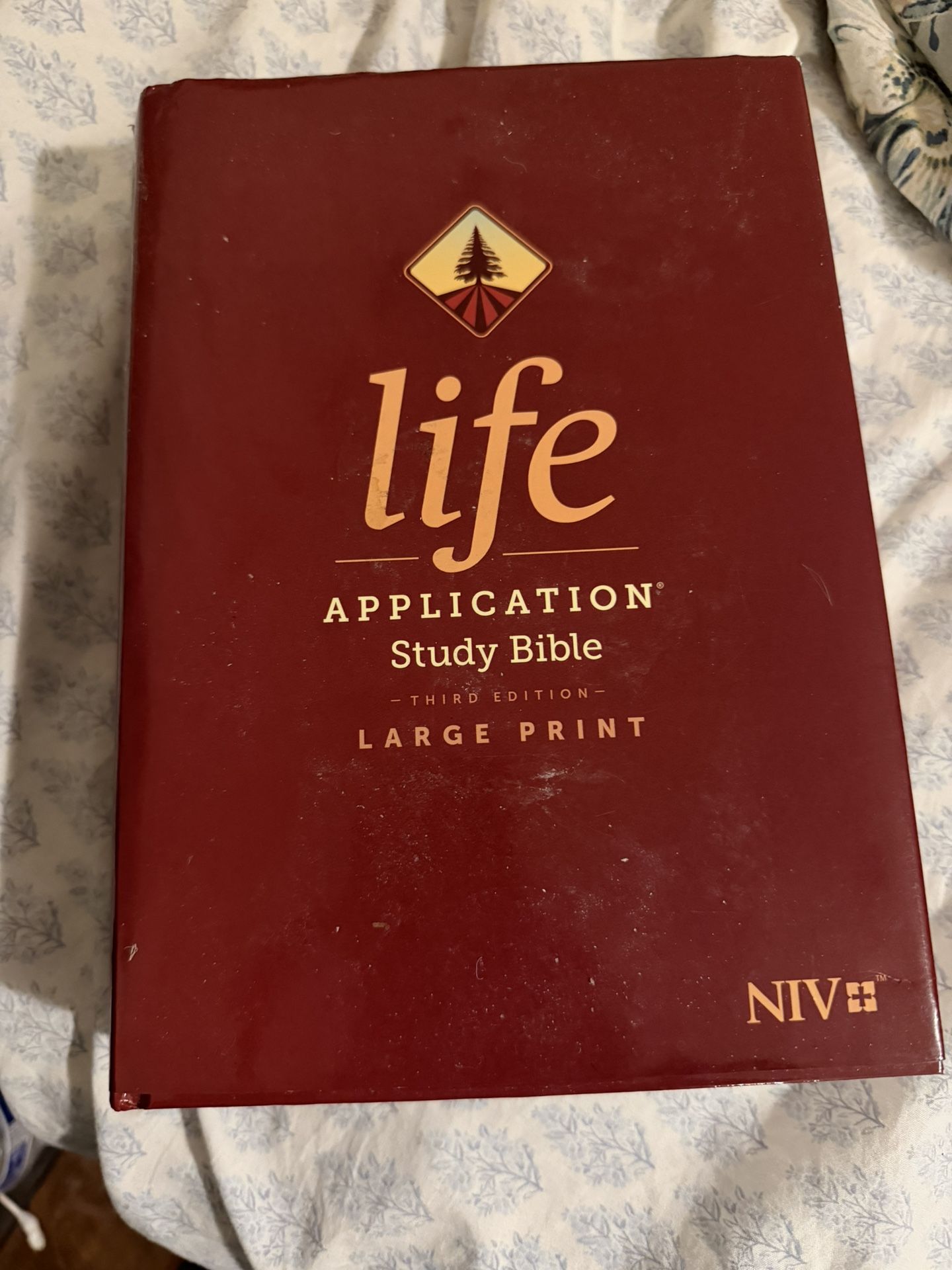 Large print NIV Bible