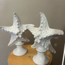 Star Fish Decoration 