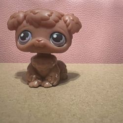 Brown Poodle Littlest Pet Shop Pet