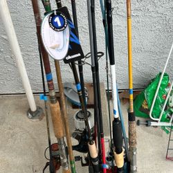 12 Fishing Rods 