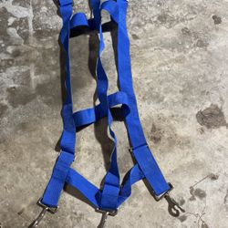 Blue Stall Guard