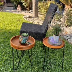 One Chair , Plant Stands 