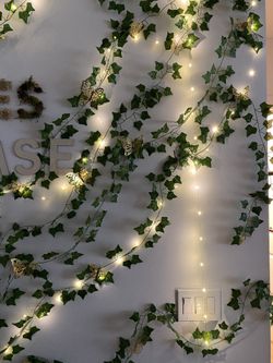 33 ft fairy lights 
