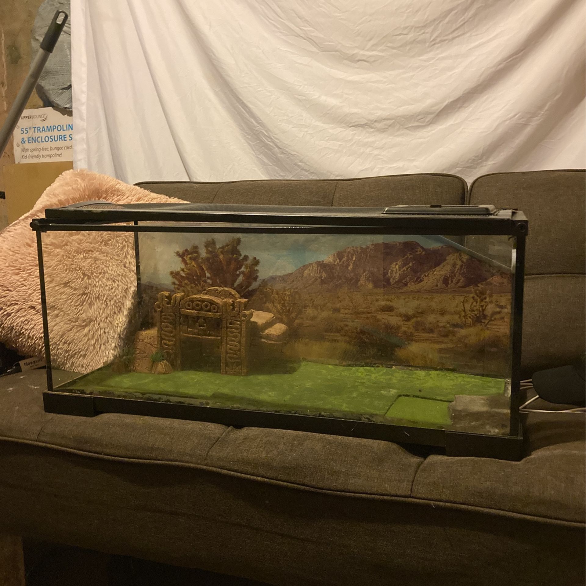 Reptile Tank