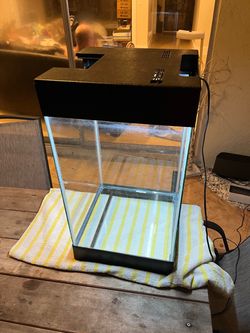 Tall Glass Fish Tank with Light & Lid