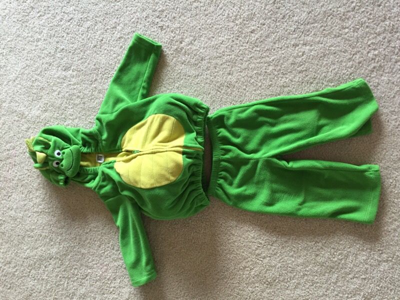 12 month Dino costume