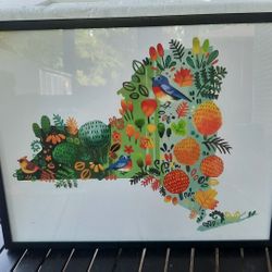 New York Bird Picture 