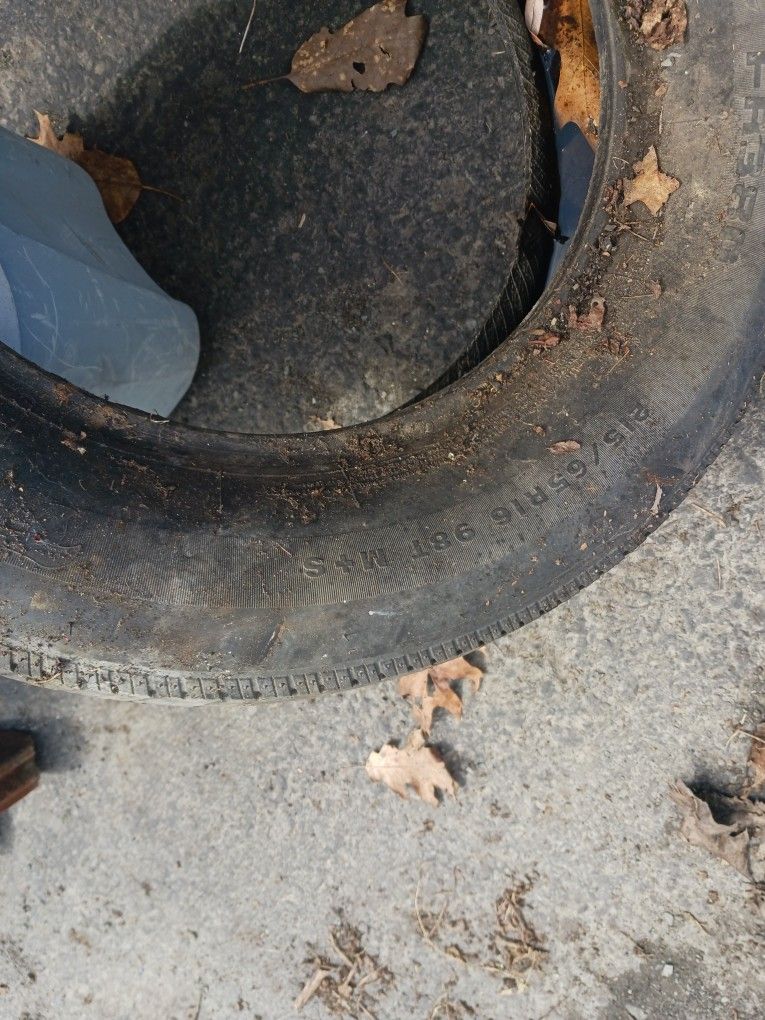14'' Free Tire