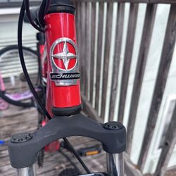 Schwinn S29 Mountain Bike 29-Inch 21-Speed Aluminum Matte