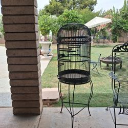 Steel Bird Cage