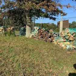 Firewood Bundles 