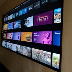 50" Vizio Smart TV w/wall mount and remote
