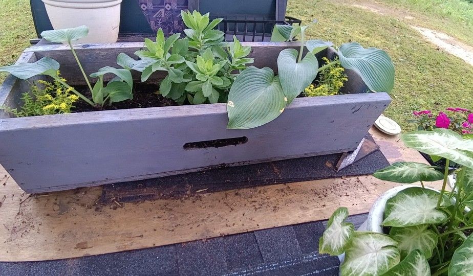 Garden Pot With Flowers