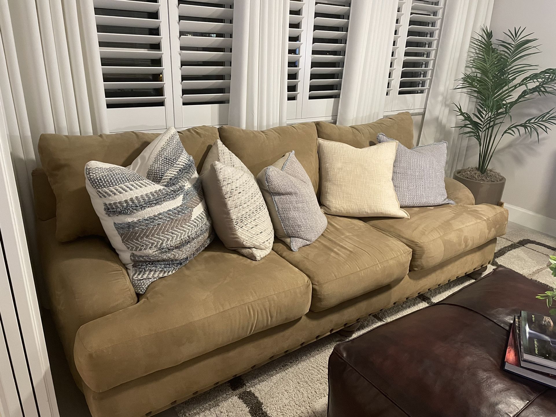 FREE Sleeper  Sofa