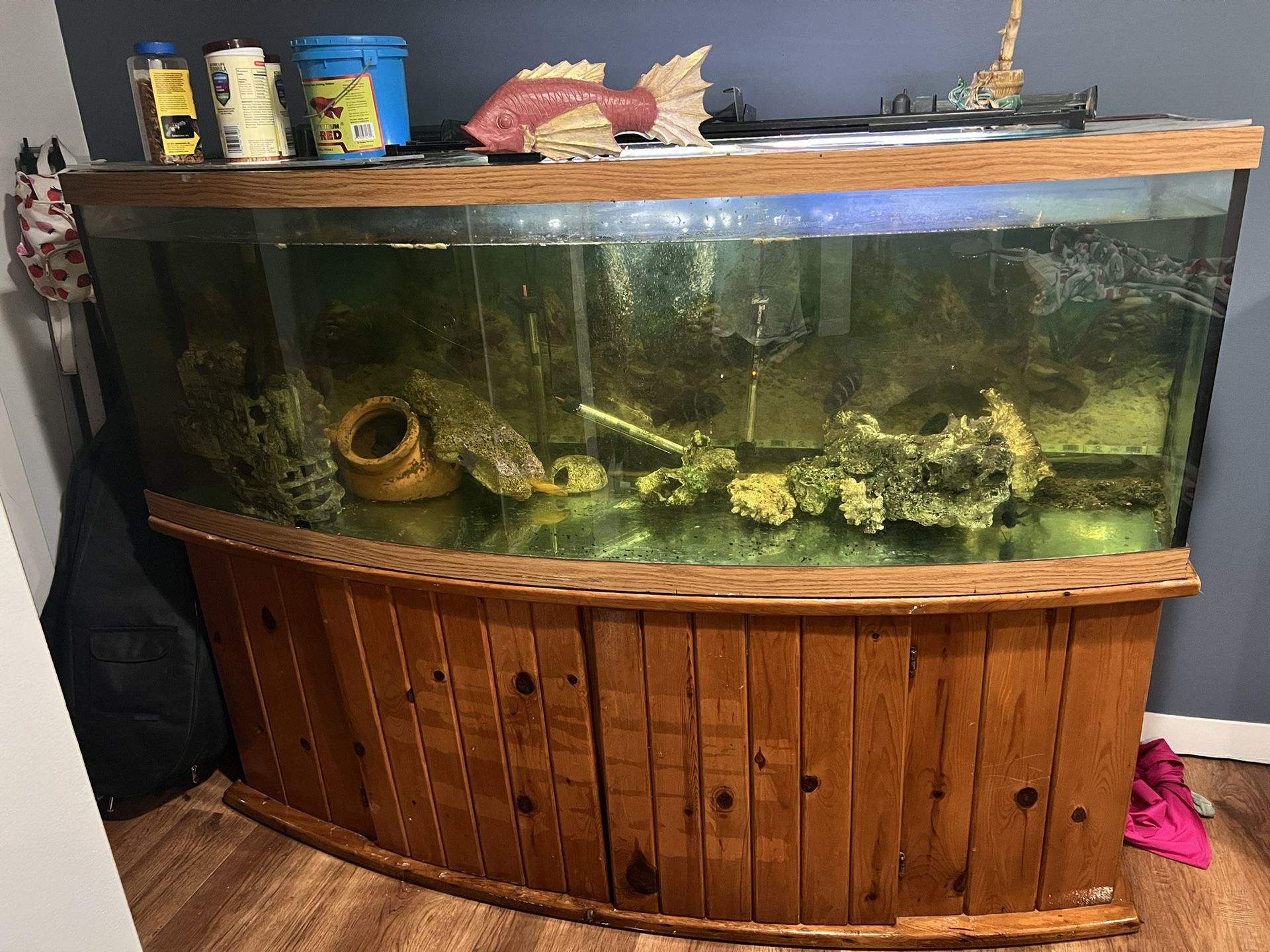 Large fish tank/ Aquarium WITH FISH INCLUDED