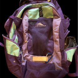 High Sierra Back Pack