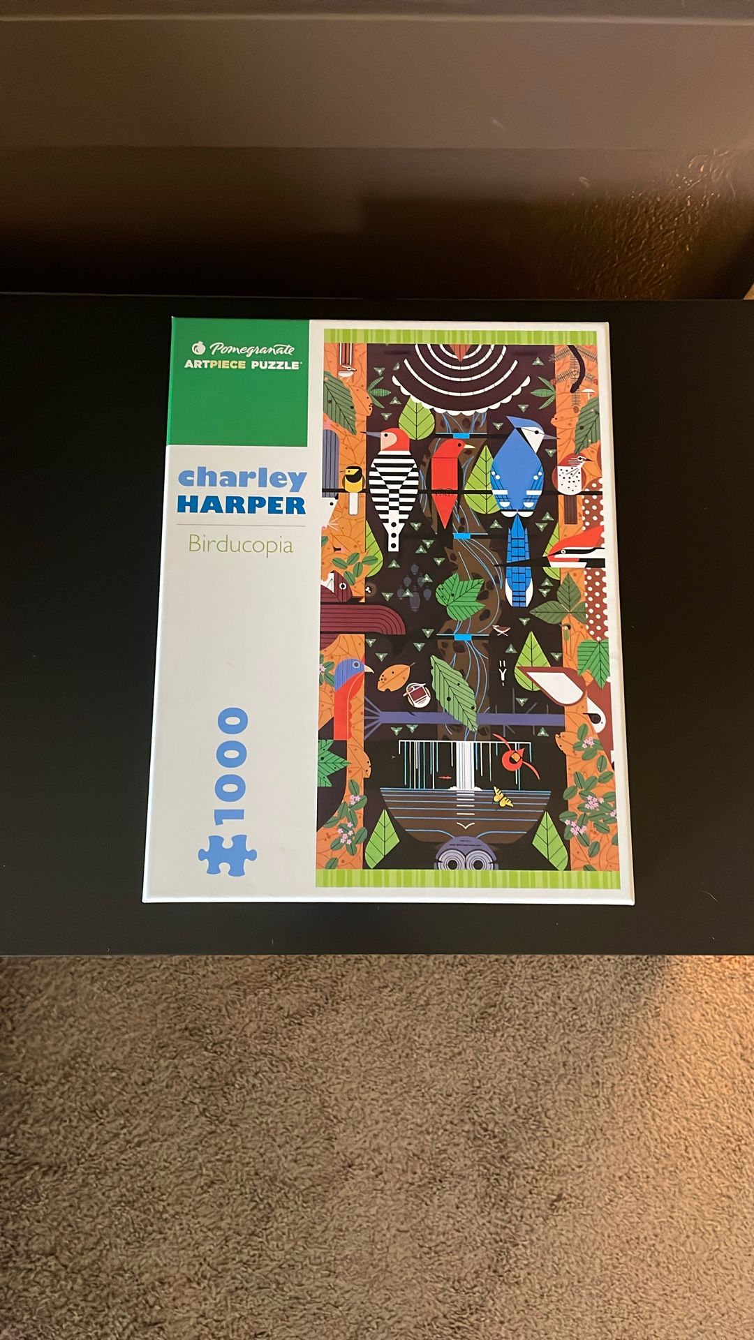 New 1000 Piece Puzzle