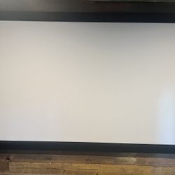 Professional Home Movie Screen $50