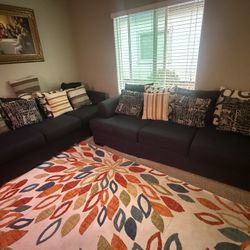 2 Full Size  Couches. 