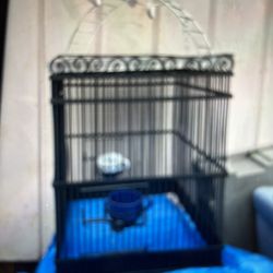  Bird Cage 