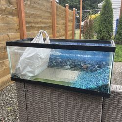 Free Fish Tank
