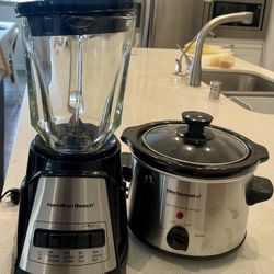 Hamilton Beach Blender(40 Oz Glass Jar) & Elite Gourmet MST-250XS
