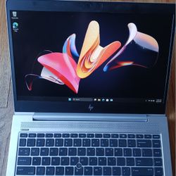 Pro Grade HP EliteBook Laptop Intel Core i5-8350u 8 GB RAM 256 GB SSD 1080P LCD Webcam USB C Thunderbolt Port Windows 11 Professional 