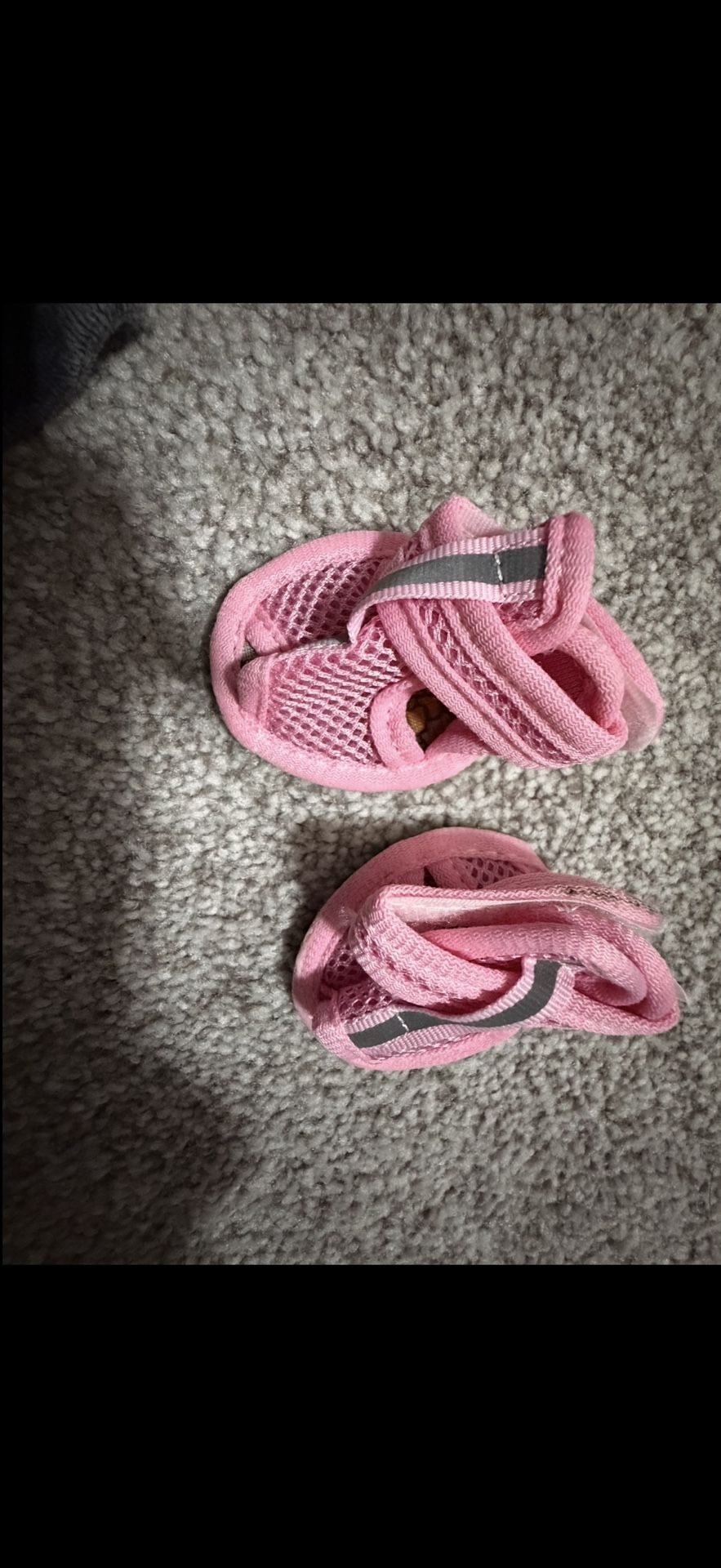 Size 4 Dog Shoes