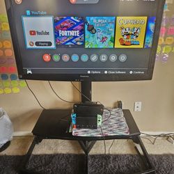 42" Panasonic TV With Swivel Stand 