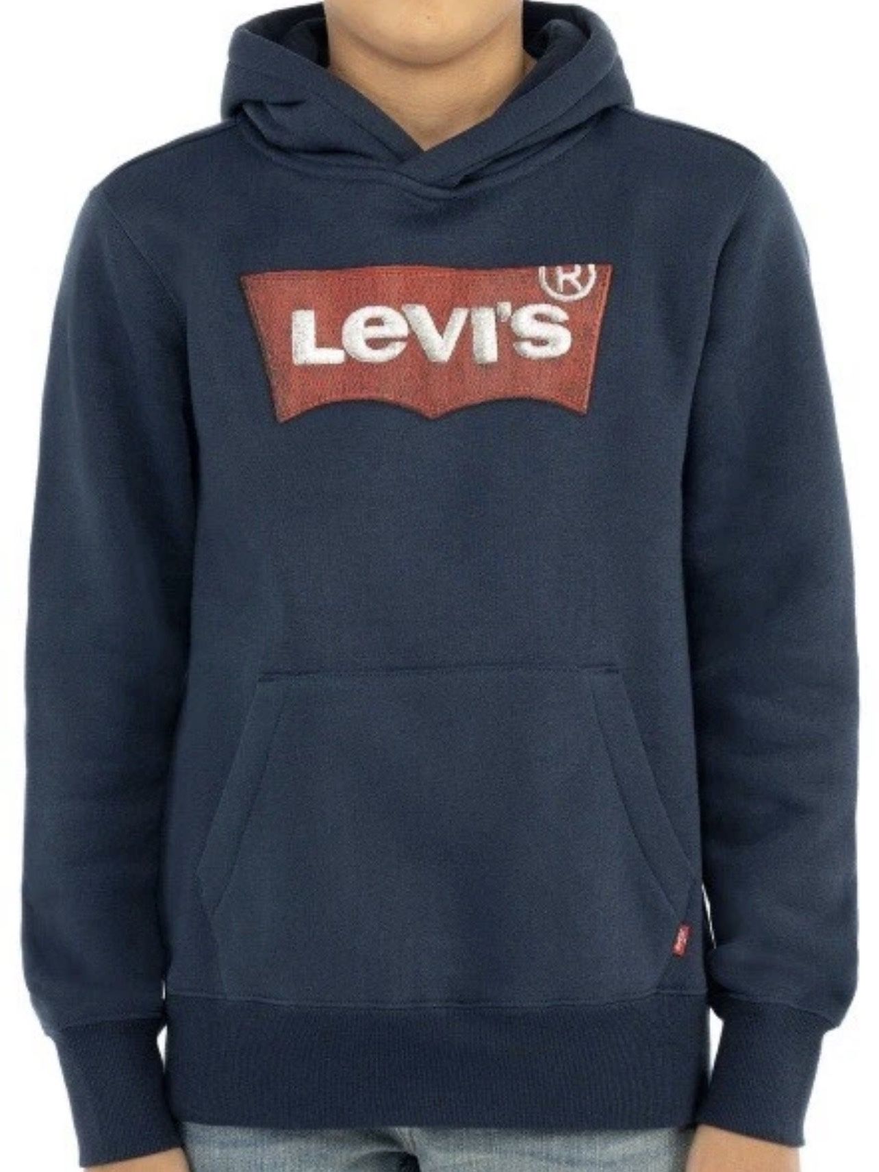 Levi's boys Graphic hoodie