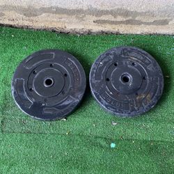 25 Pound Weights For Bench Press 